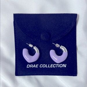 Silver and Purple Hoops